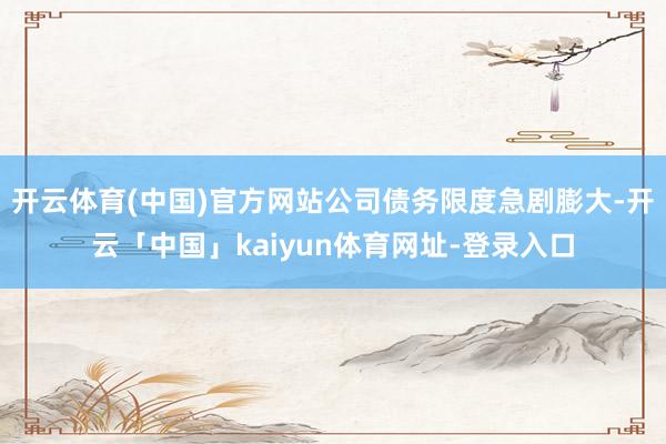 开云体育(中国)官方网站公司债务限度急剧膨大-开云「中国」kaiyun体育网址-登录入口